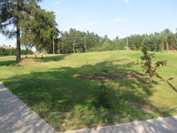 somerpalu-haljasala-small-120124