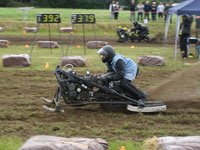 wildhogs-belgias-small-120124